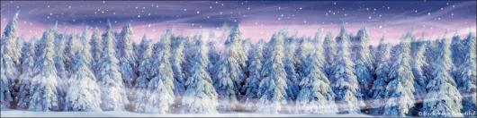 Backdrops: Winter Forest 2