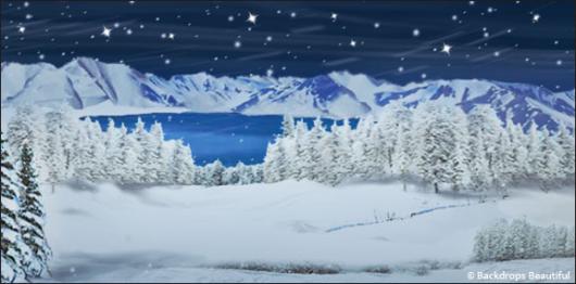 Backdrops: Winter Wonderland 3B
