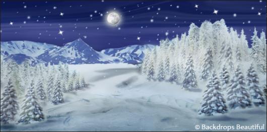 Backdrops: Winter Wonderland 3C