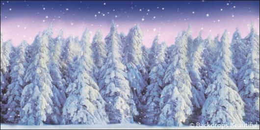 Backdrops: Winter Forest 1D