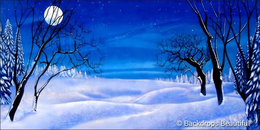 Backdrops: Winter Trees 11 Moon